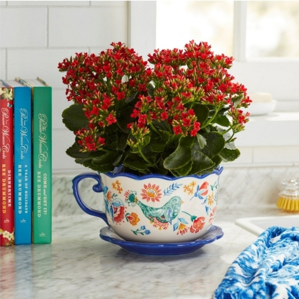 Pioneer Woman Mazie Teacup Planter